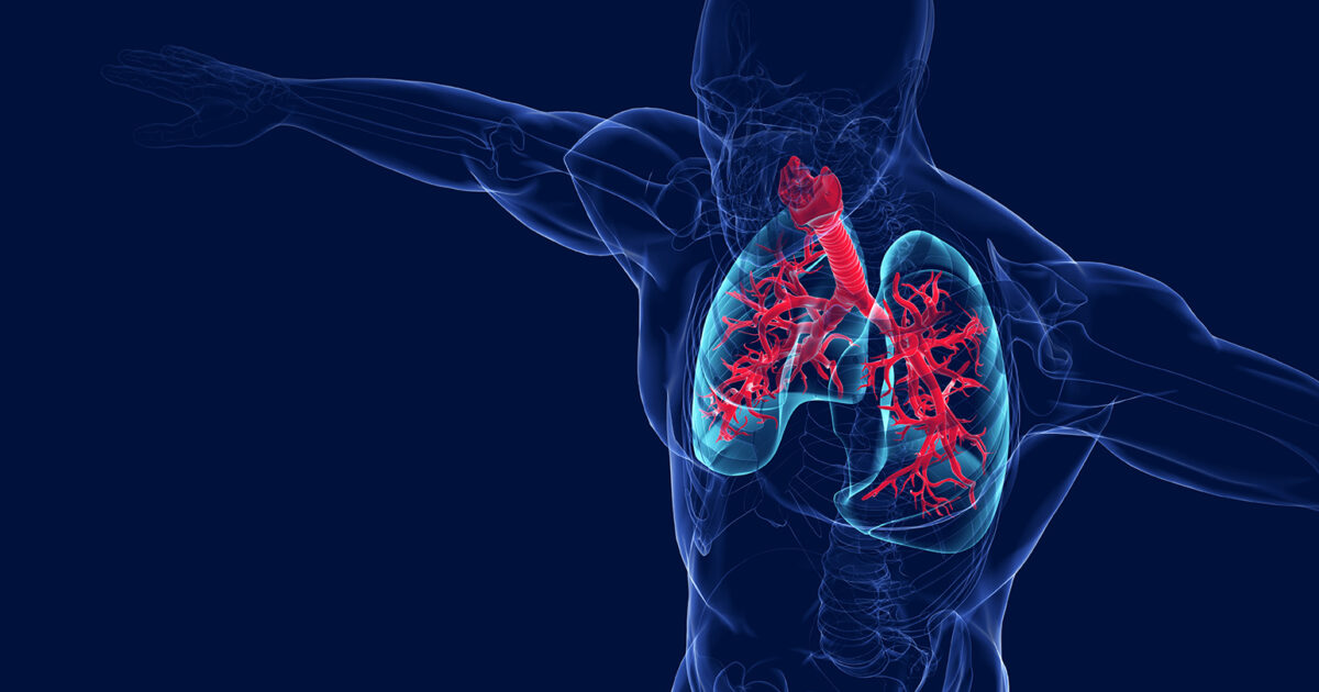 Isoflurane Solution Causes respiratory system problems | Shaanxi BLOOM Tech Co., Ltd Isoflurane Solution Causes respiratory system problems | Shaanxi BLOOM Tech Co., Ltd